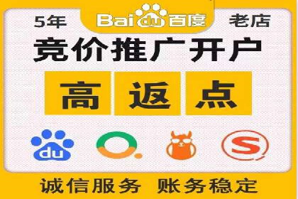 百度推广中的创意策略：成功案例解析与启示